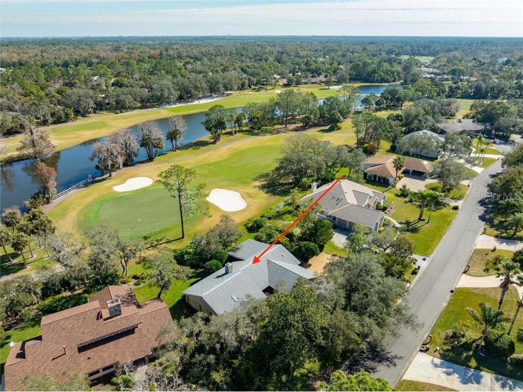 507 Boxwood Lane New Smyrna Beach FL 32168 NS1083705 image2