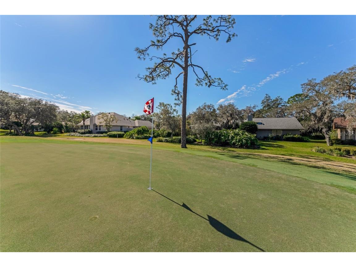 507 Boxwood Lane New Smyrna Beach FL 32168 NS1083705 image42