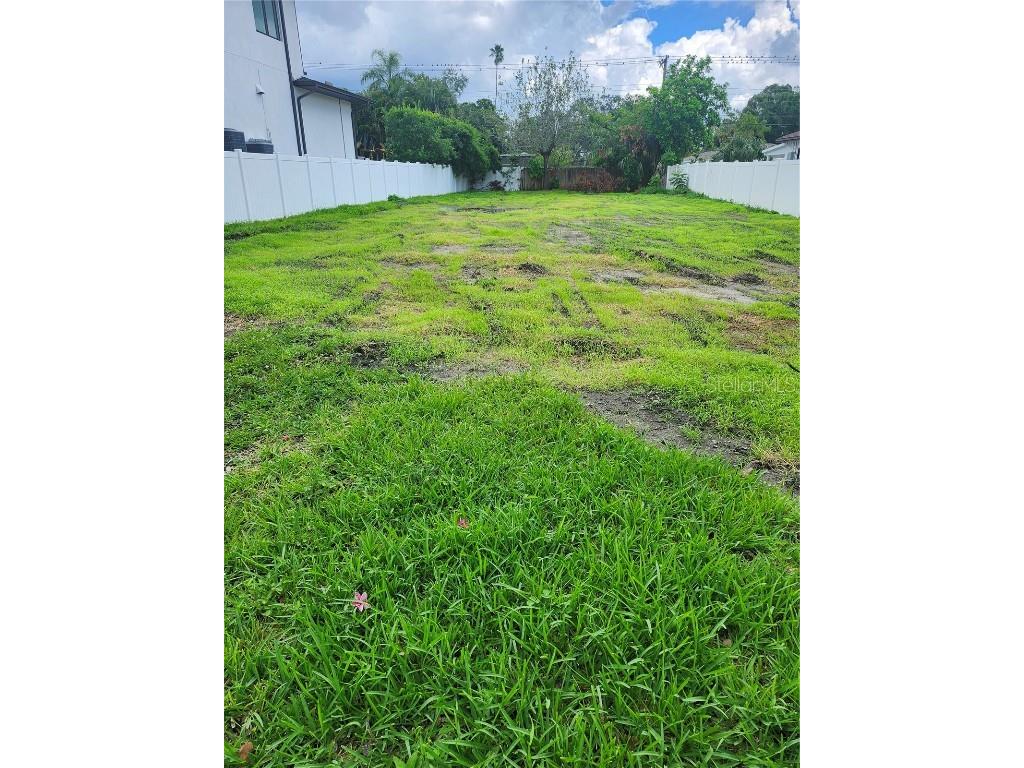 507 Danube Avenue Tampa FL 33606 TB8398733 image4