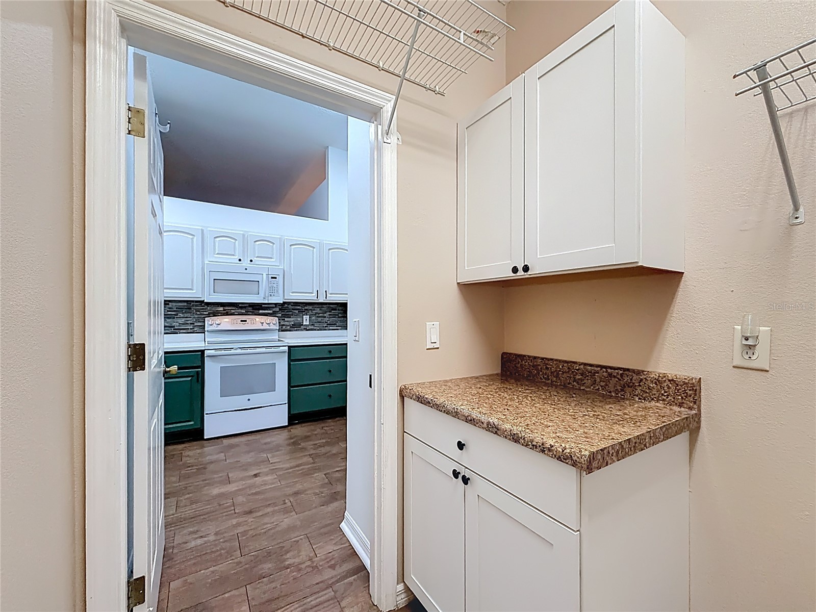 507 Dowling Circle Lady Lake FL 32159 G5109536 image35