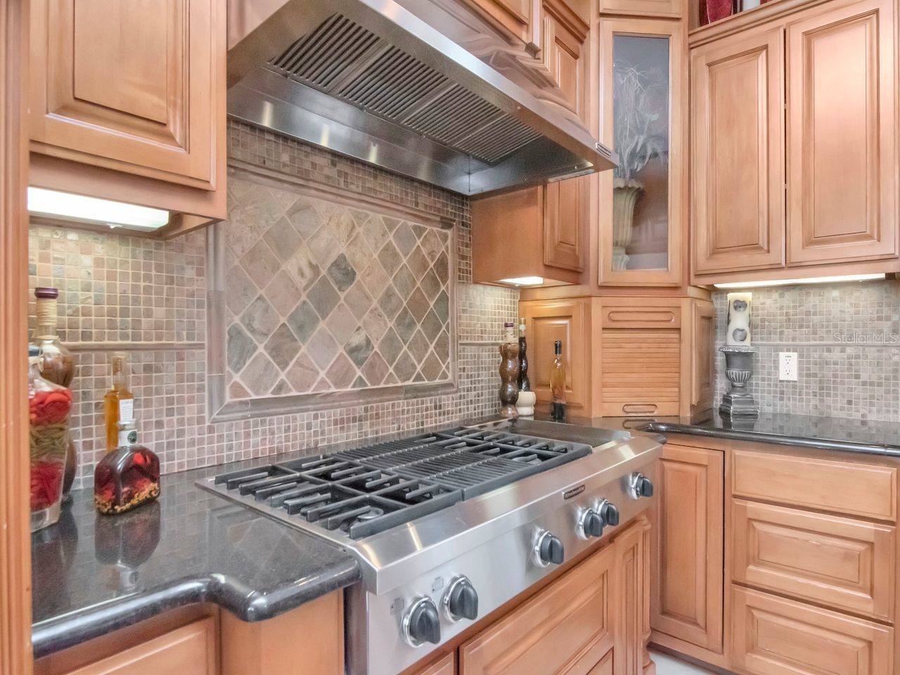 507 Driftwood Drive E Palm Harbor FL 34683 TB8494743 image24