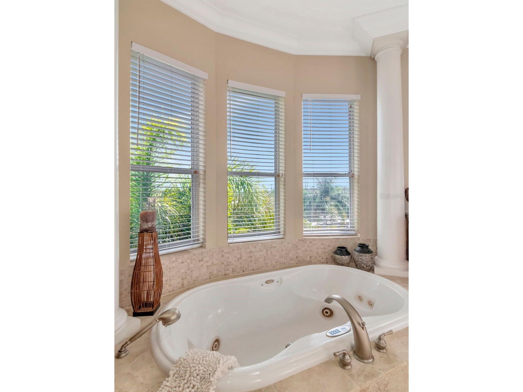 507 Driftwood Drive E Palm Harbor FL 34683 TB8494743 image32