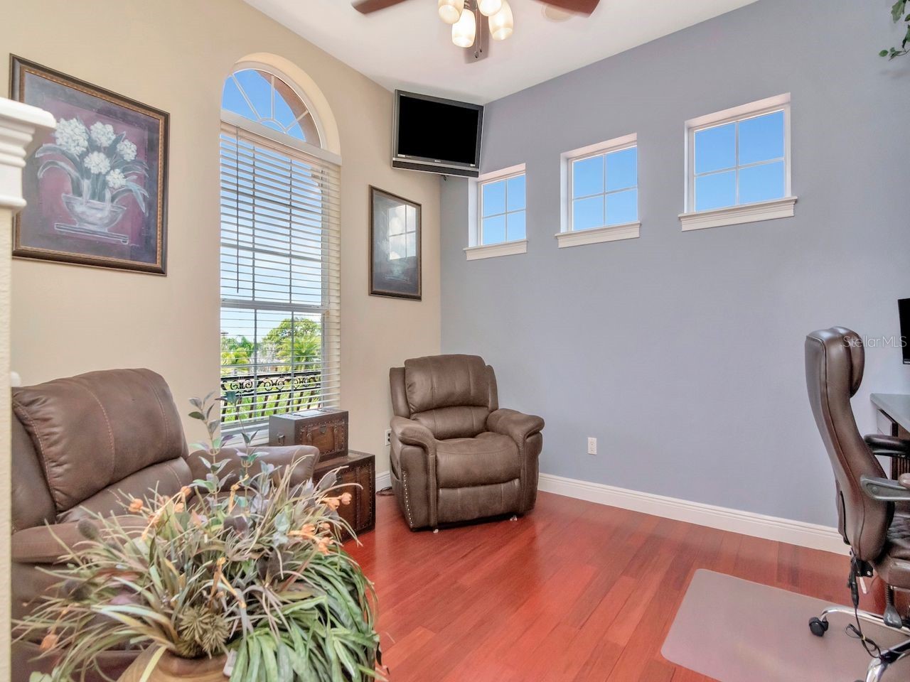 507 Driftwood Drive E Palm Harbor FL 34683 TB8494743 image38