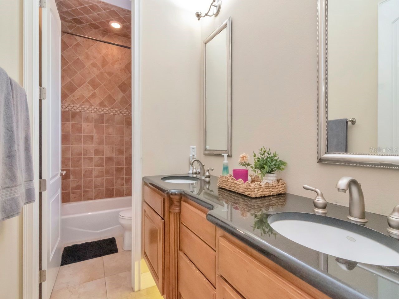 507 Driftwood Drive E Palm Harbor FL 34683 TB8494743 image41