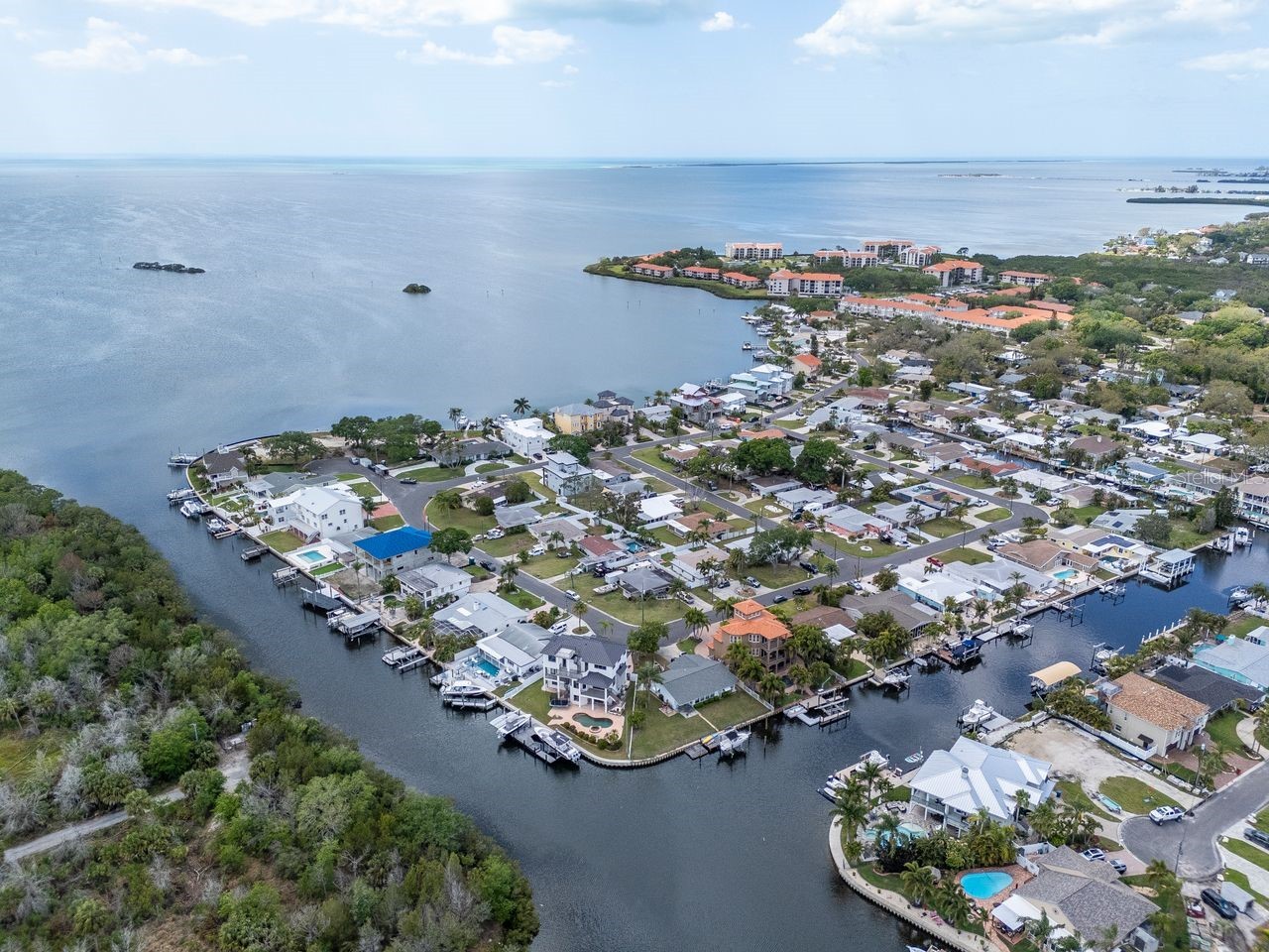 507 Driftwood Drive E Palm Harbor FL 34683 TB8494743 image86