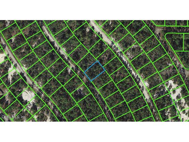 507 Dreamland Drive Lake Placid FL 33852 OM543118 image1