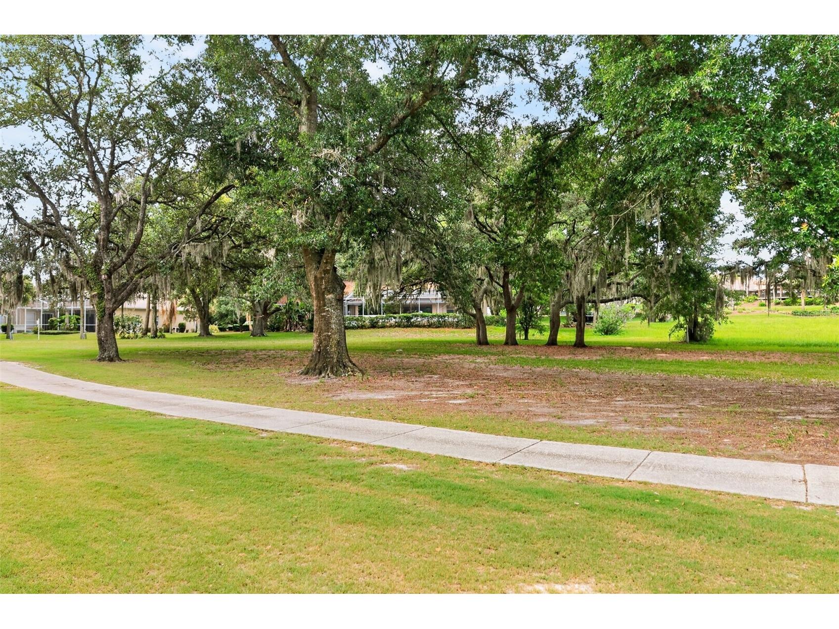 507 E Gilchrist Court Hernando FL 34442 OM727683 image50