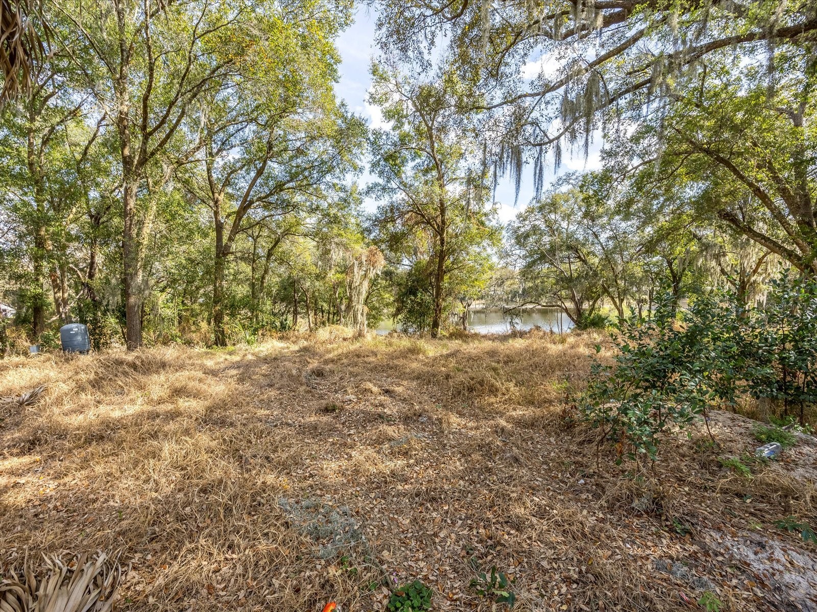 507 Enka Avenue Orlando FL 32835 O6381020 image6