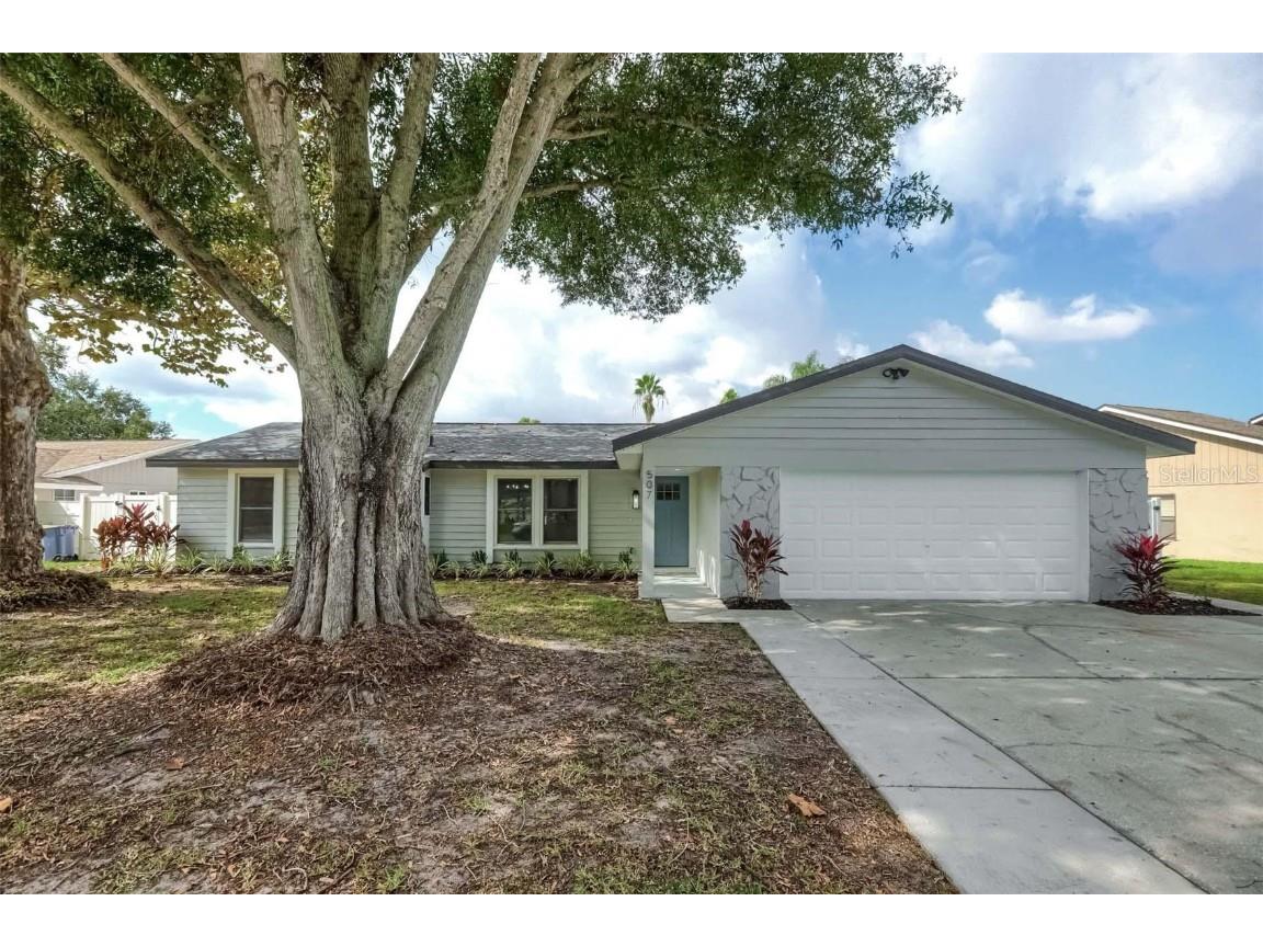 507 Hammock Drive Palm Harbor FL 34683 T3411749 image1