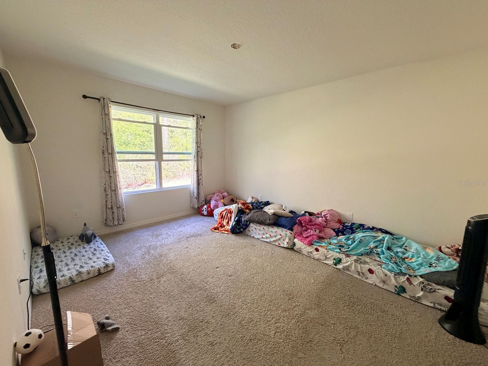 507 Lady Irelyn Court Deland FL 32724 O6392464 image5