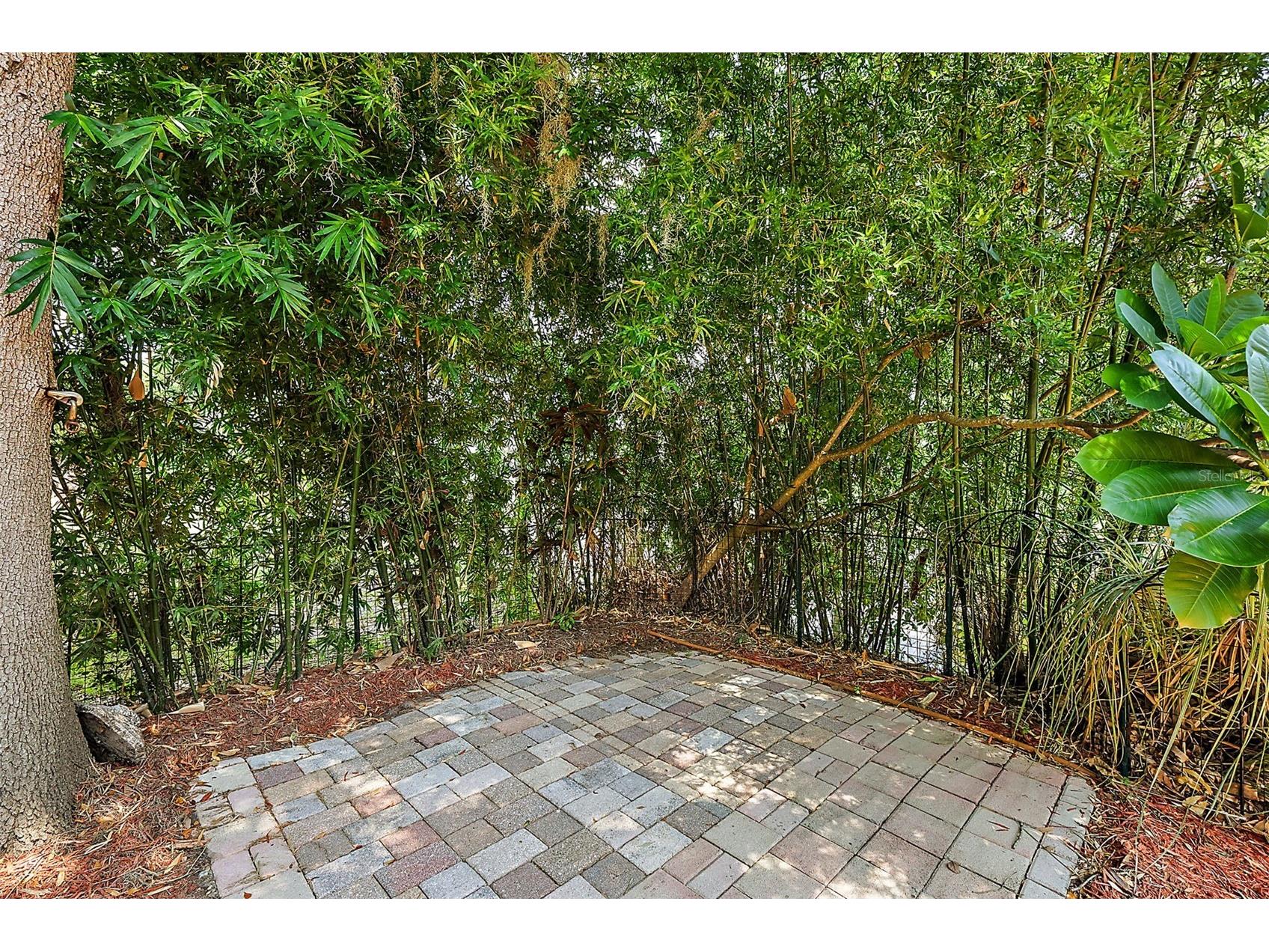 507 Lakeshore Drive Eustis FL 32726 G5114140 image36