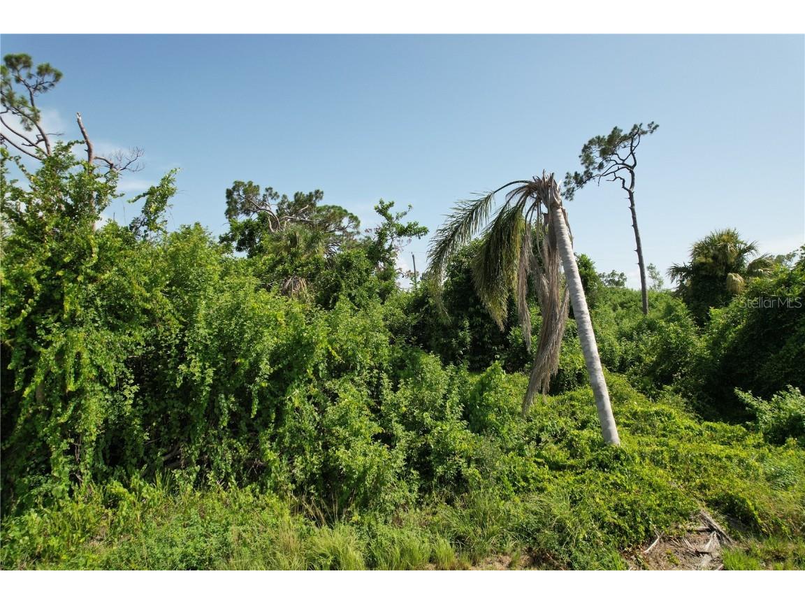 507 Meridan Avenue NW Port Charlotte FL 33952 C7478312 image4