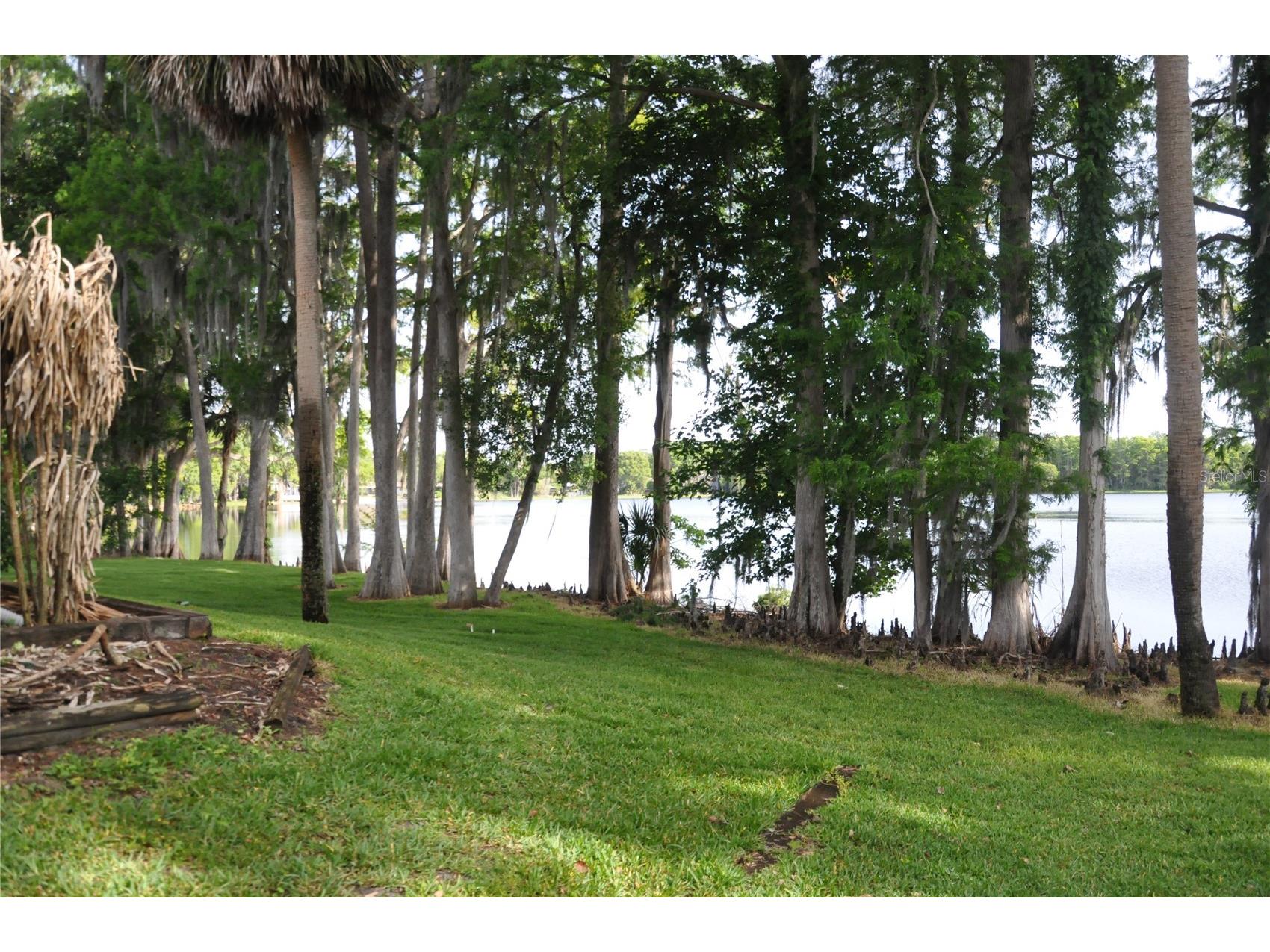 507 Northlake Drive #507 Sanford FL 32773 O6406375 image5