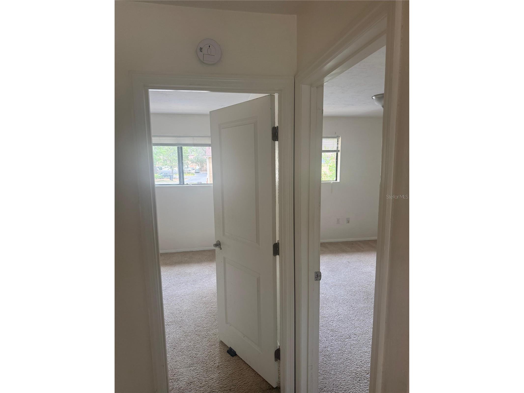 507 NW 39th Road #315 Gainesville FL 32607 O6399037 image9