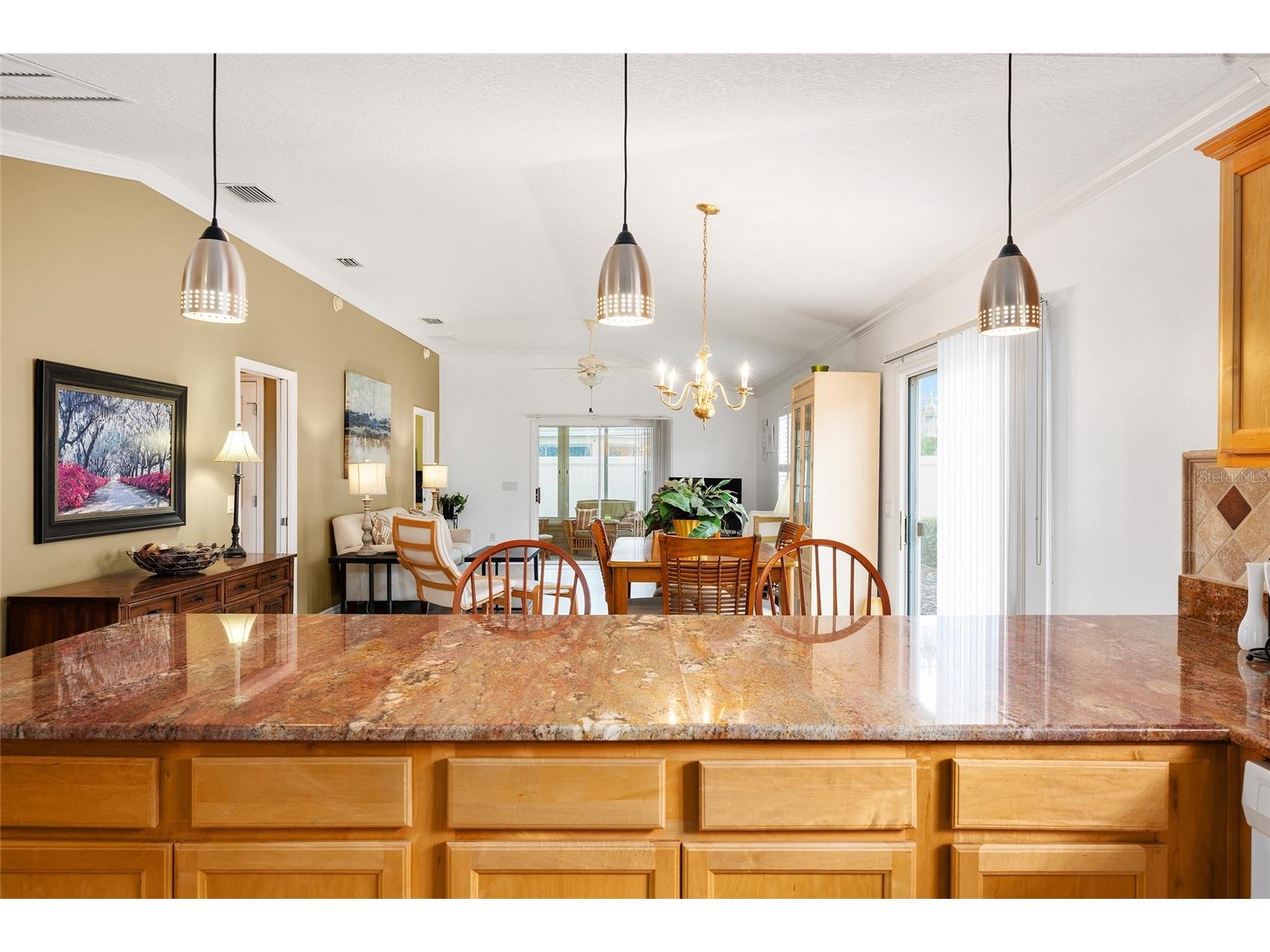 507 Paxville Place The Villages FL 32162 G5113212 image14