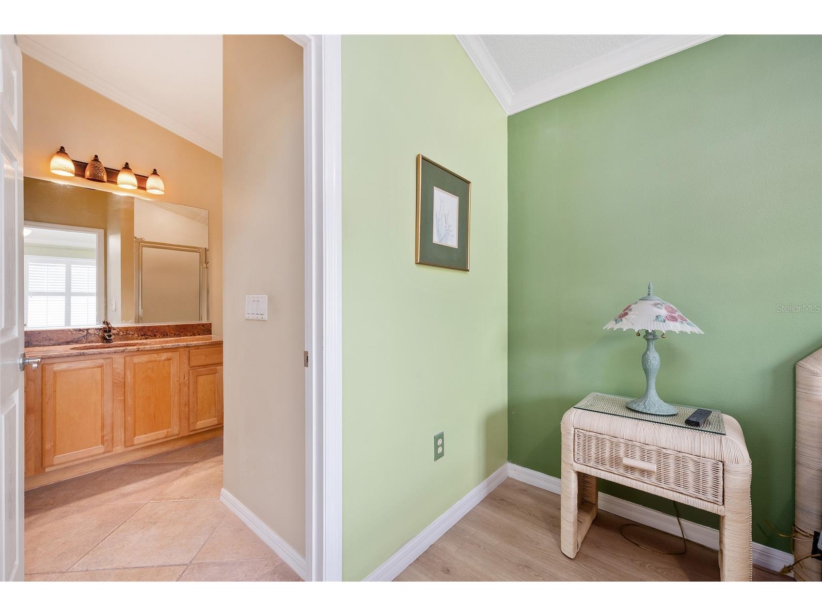 507 Paxville Place The Villages FL 32162 G5113212 image39