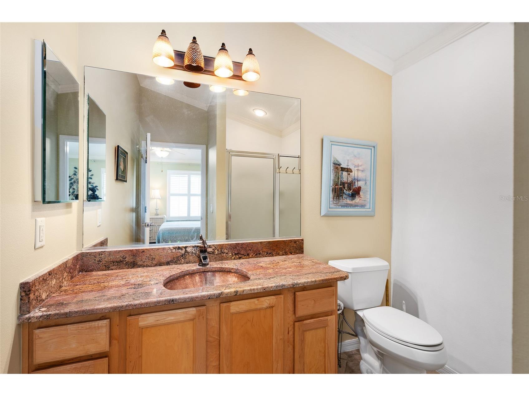 507 Paxville Place The Villages FL 32162 G5113212 image40