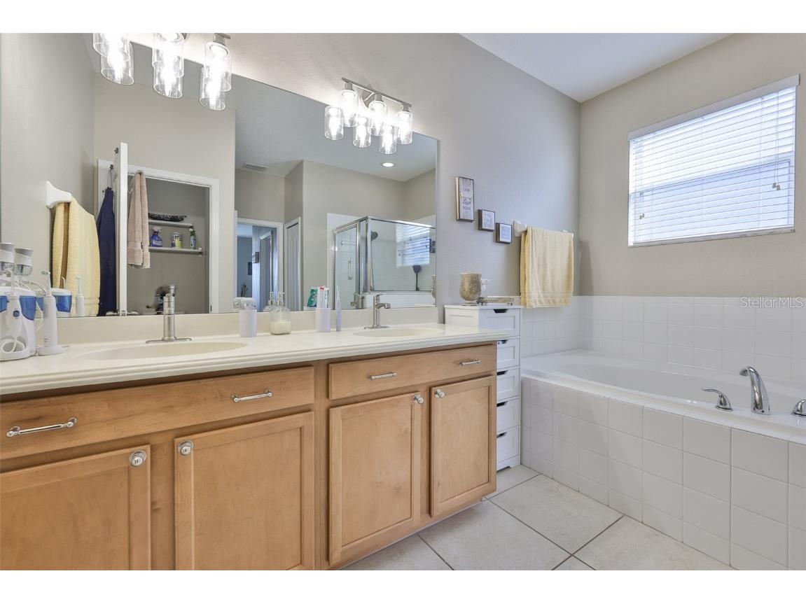 507 Powder View Drive Ruskin FL 33570 TB8450567 image29