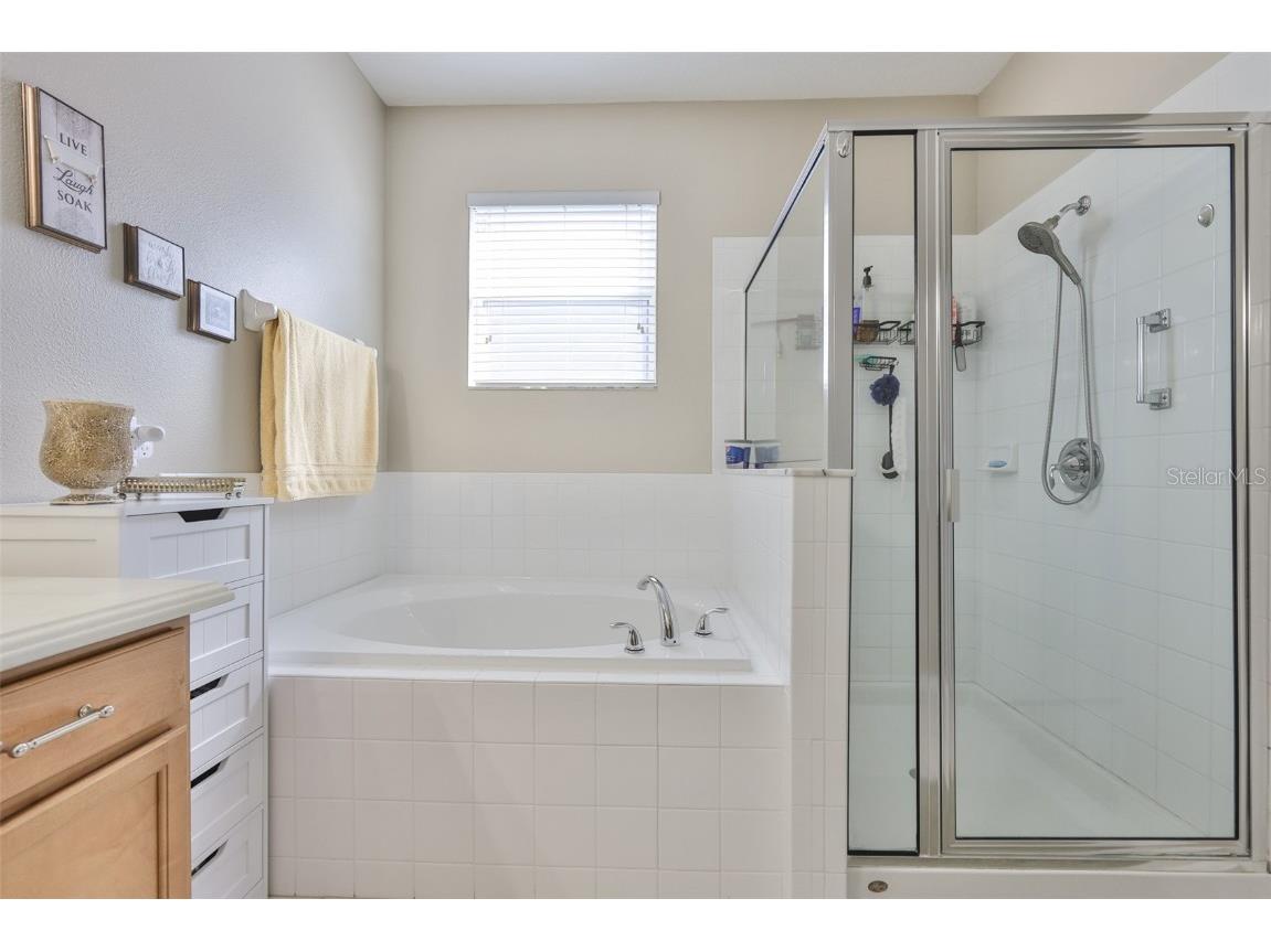 507 Powder View Drive Ruskin FL 33570 TB8450567 image30