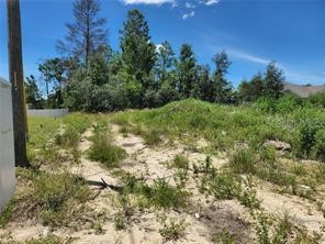 507 Rio Grande Dr Poinciana FL 34759 P4926865 image1