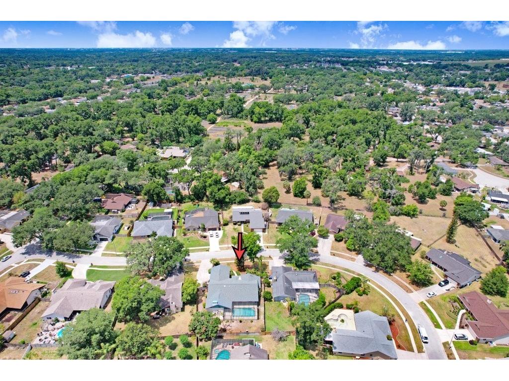 507 Sportsman Park Drive Seffner FL 33584 TB8500106 image52