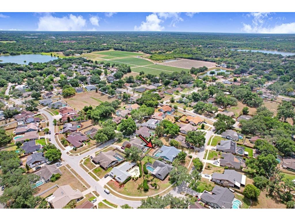 507 Sportsman Park Drive Seffner FL 33584 TB8500106 image53