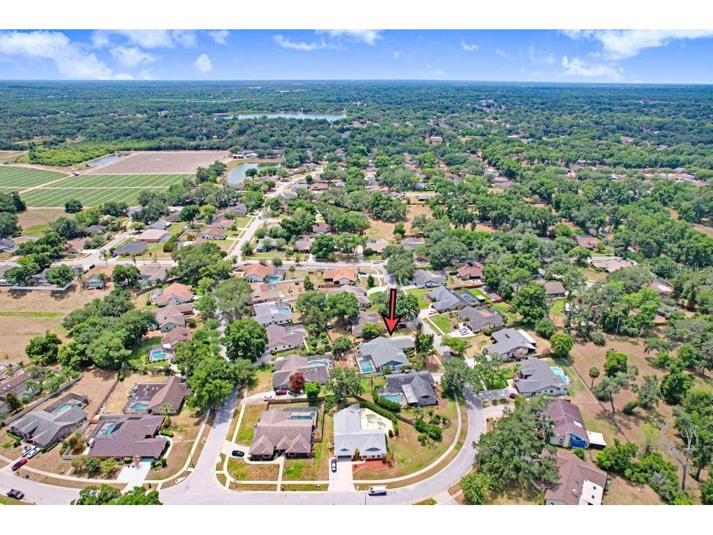 507 Sportsman Park Drive Seffner FL 33584 TB8500106 image55