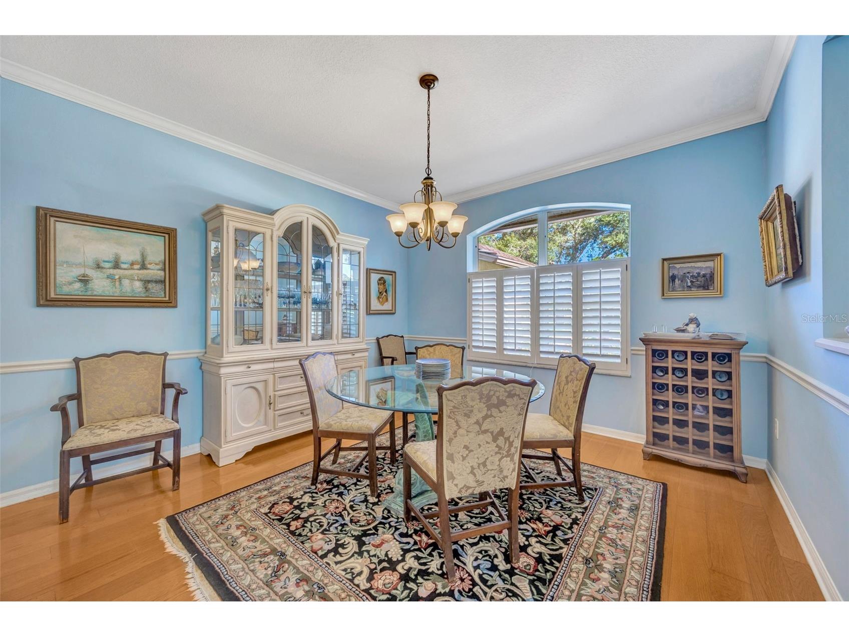 507 Surrey Lane Lutz FL 33549 TB8448027 image13