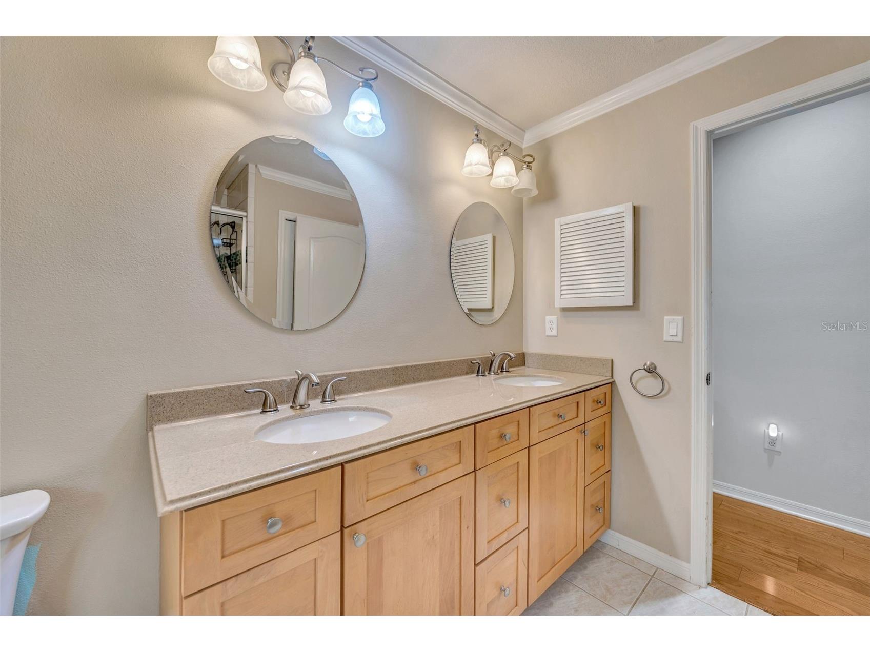507 Surrey Lane Lutz FL 33549 TB8448027 image24