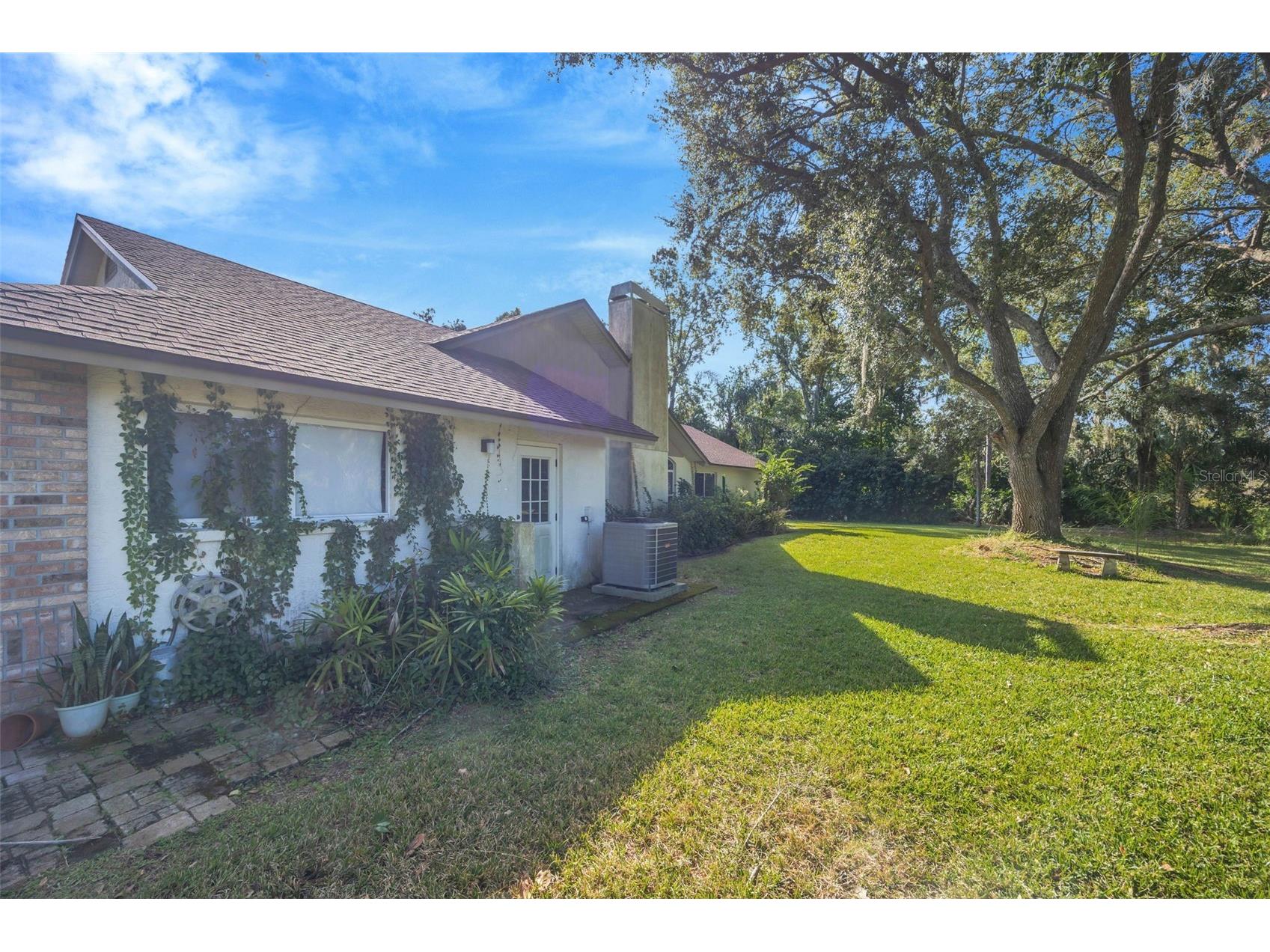 507 Surrey Lane Lutz FL 33549 TB8448027 image29