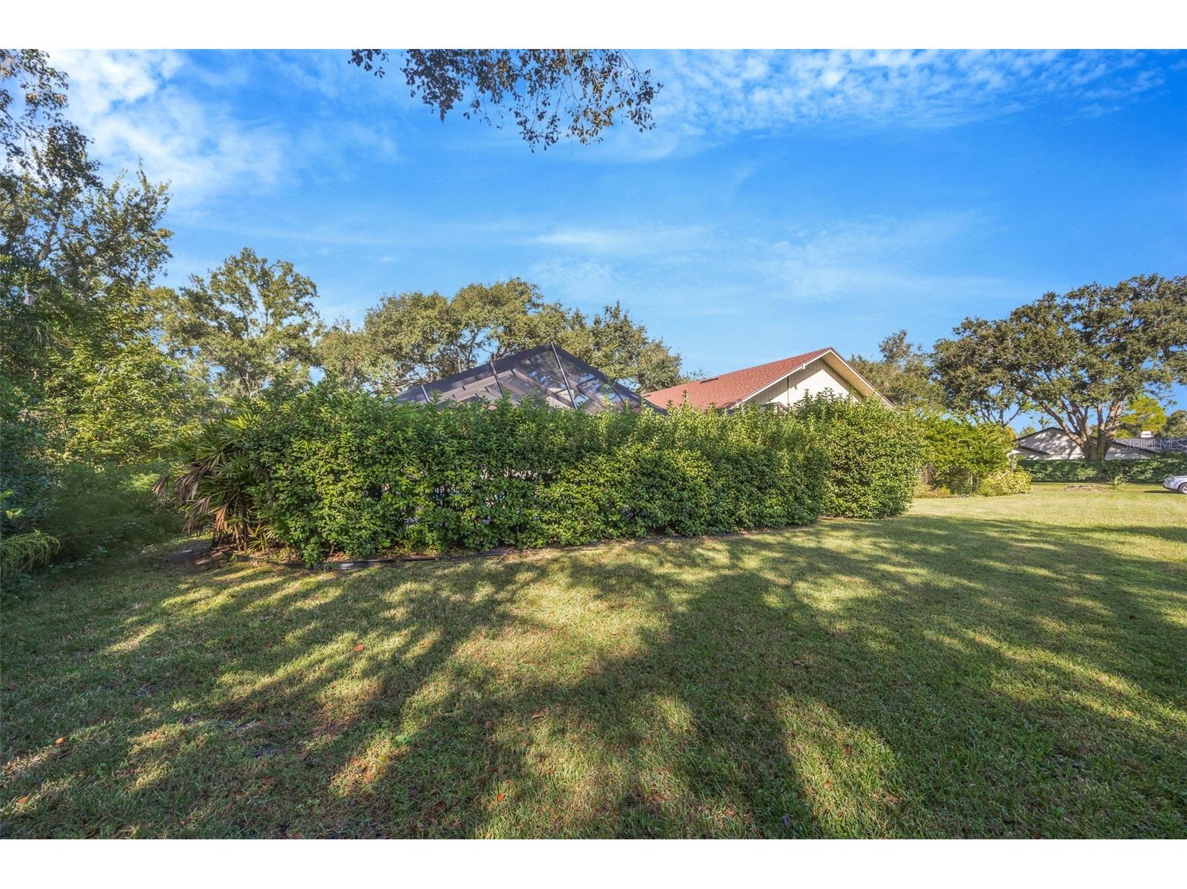 507 Surrey Lane Lutz FL 33549 TB8448027 image32