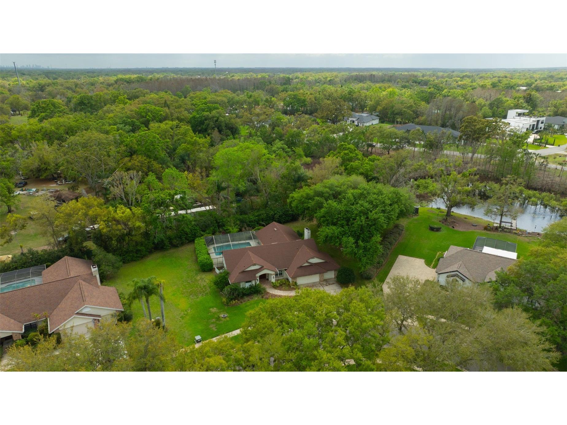 507 Surrey Lane Lutz FL 33549 TB8448027 image33
