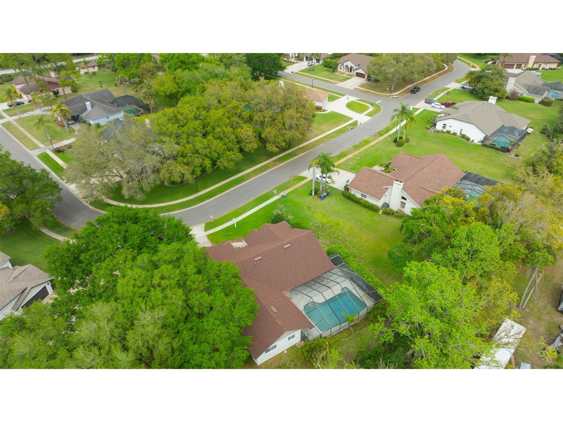 507 Surrey Lane Lutz FL 33549 TB8448027 image35