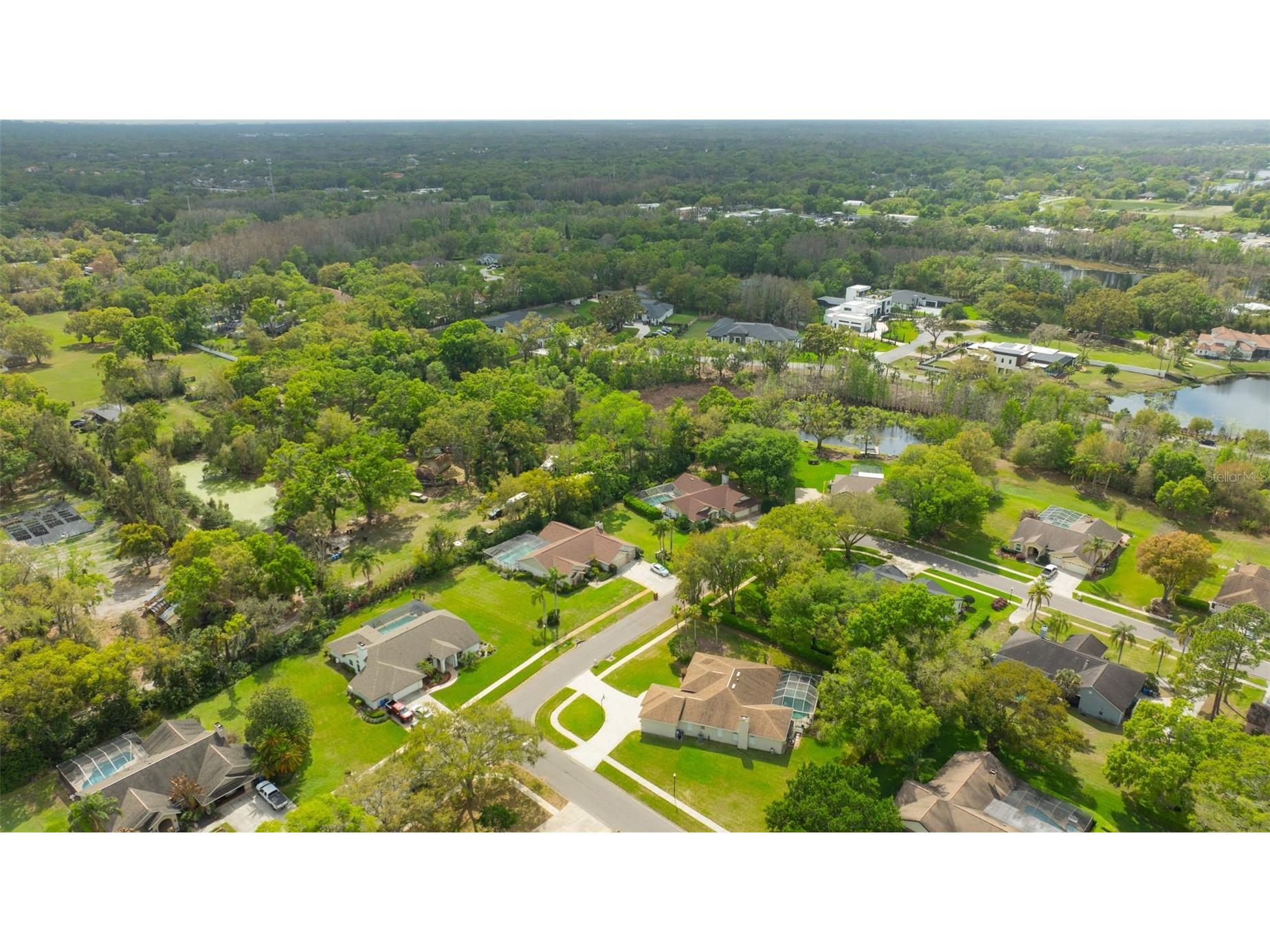507 Surrey Lane Lutz FL 33549 TB8448027 image40