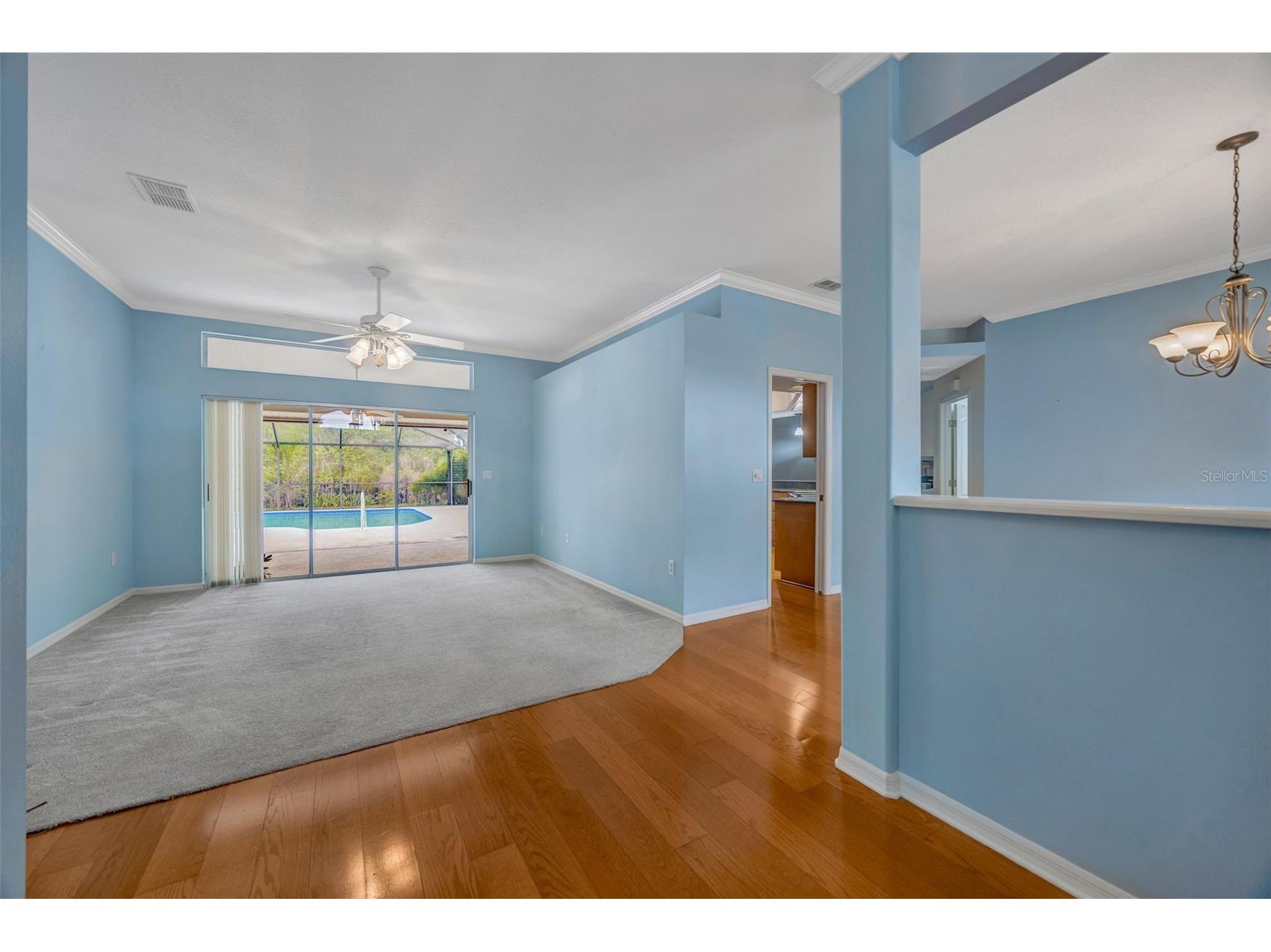 507 Surrey Lane Lutz FL 33549 TB8448027 image43