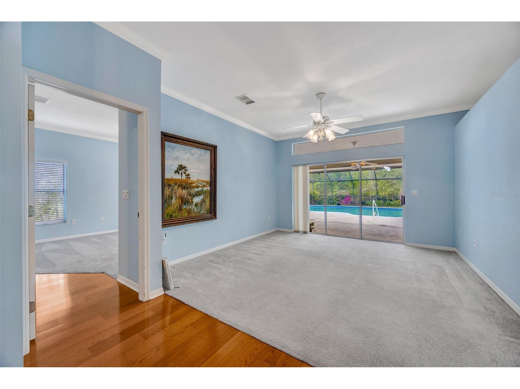 507 Surrey Lane Lutz FL 33549 TB8448027 image44