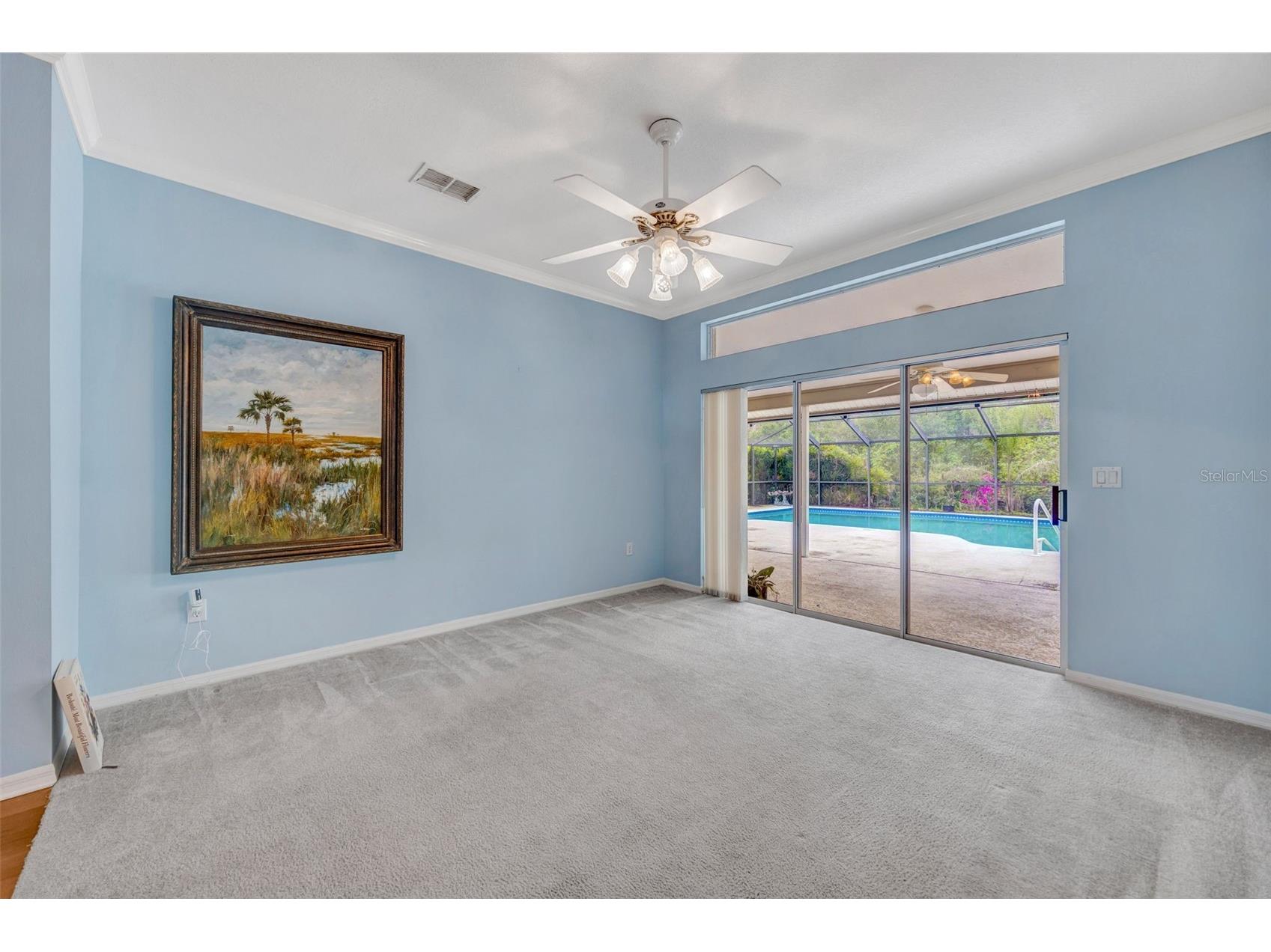 507 Surrey Lane Lutz FL 33549 TB8448027 image45