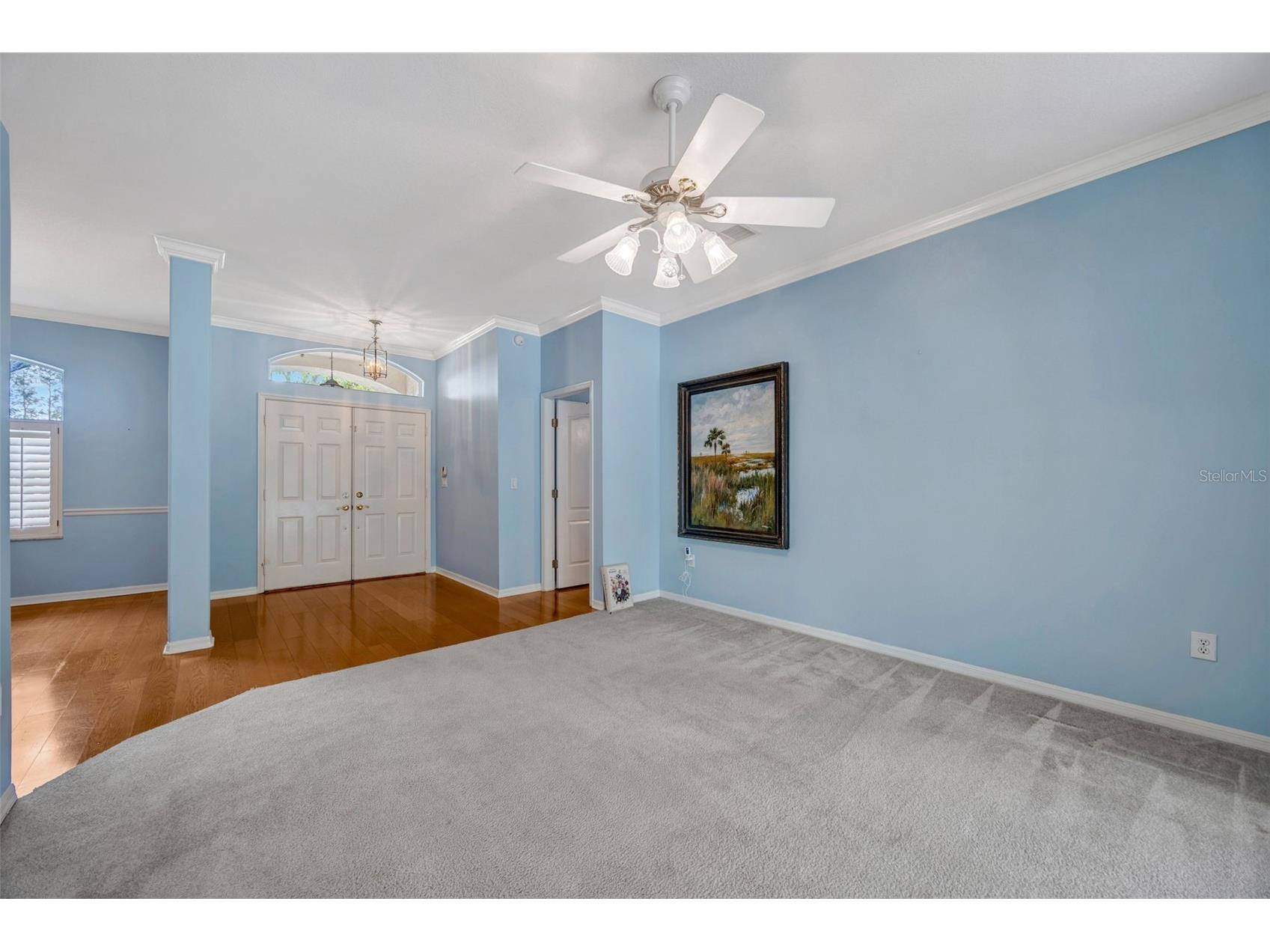 507 Surrey Lane Lutz FL 33549 TB8448027 image46