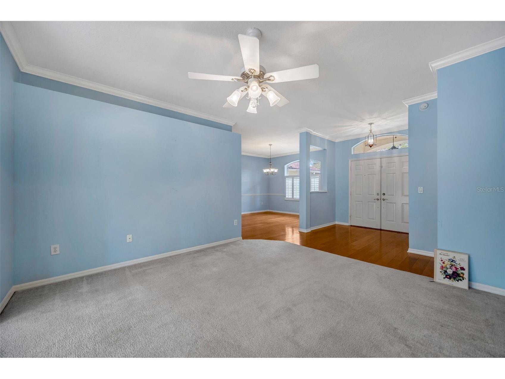 507 Surrey Lane Lutz FL 33549 TB8448027 image47