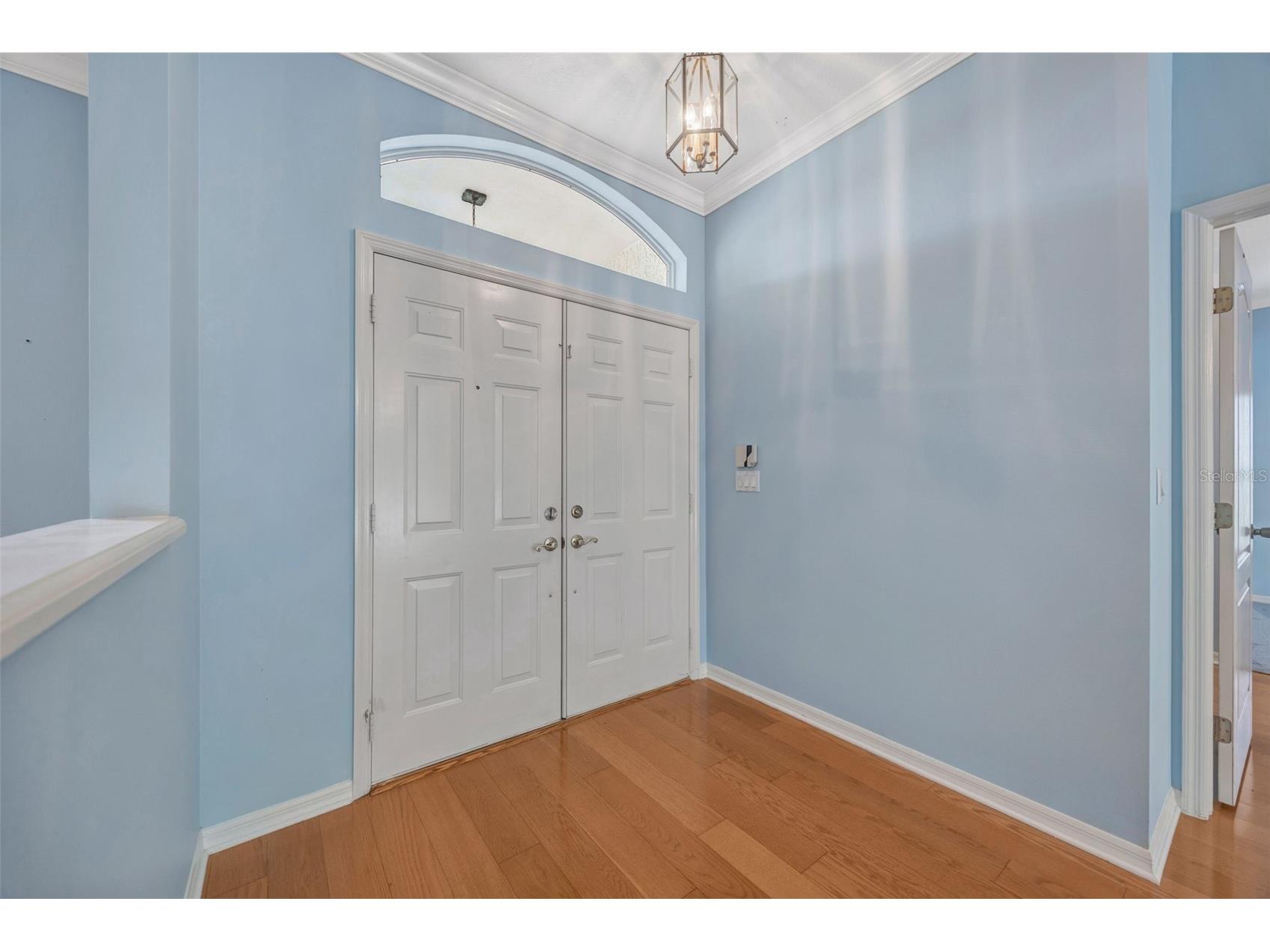 507 Surrey Lane Lutz FL 33549 TB8448027 image49