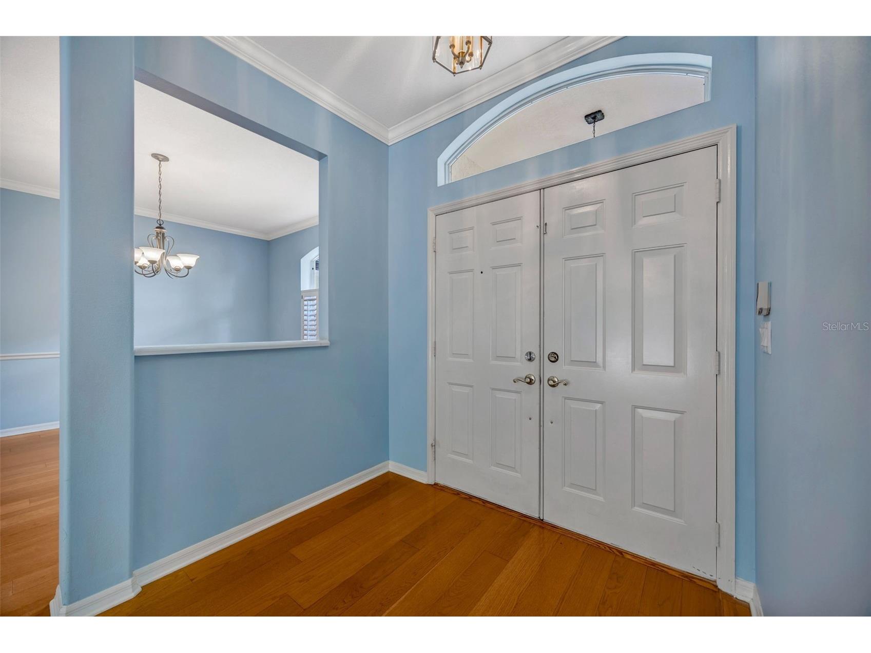 507 Surrey Lane Lutz FL 33549 TB8448027 image50
