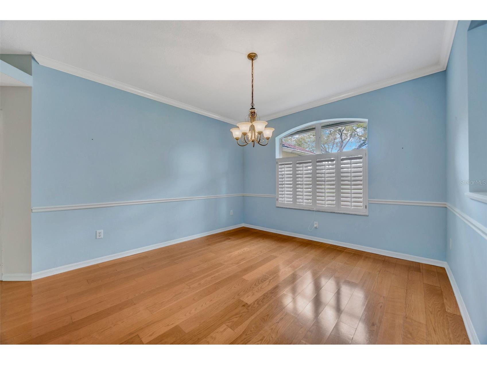 507 Surrey Lane Lutz FL 33549 TB8448027 image51