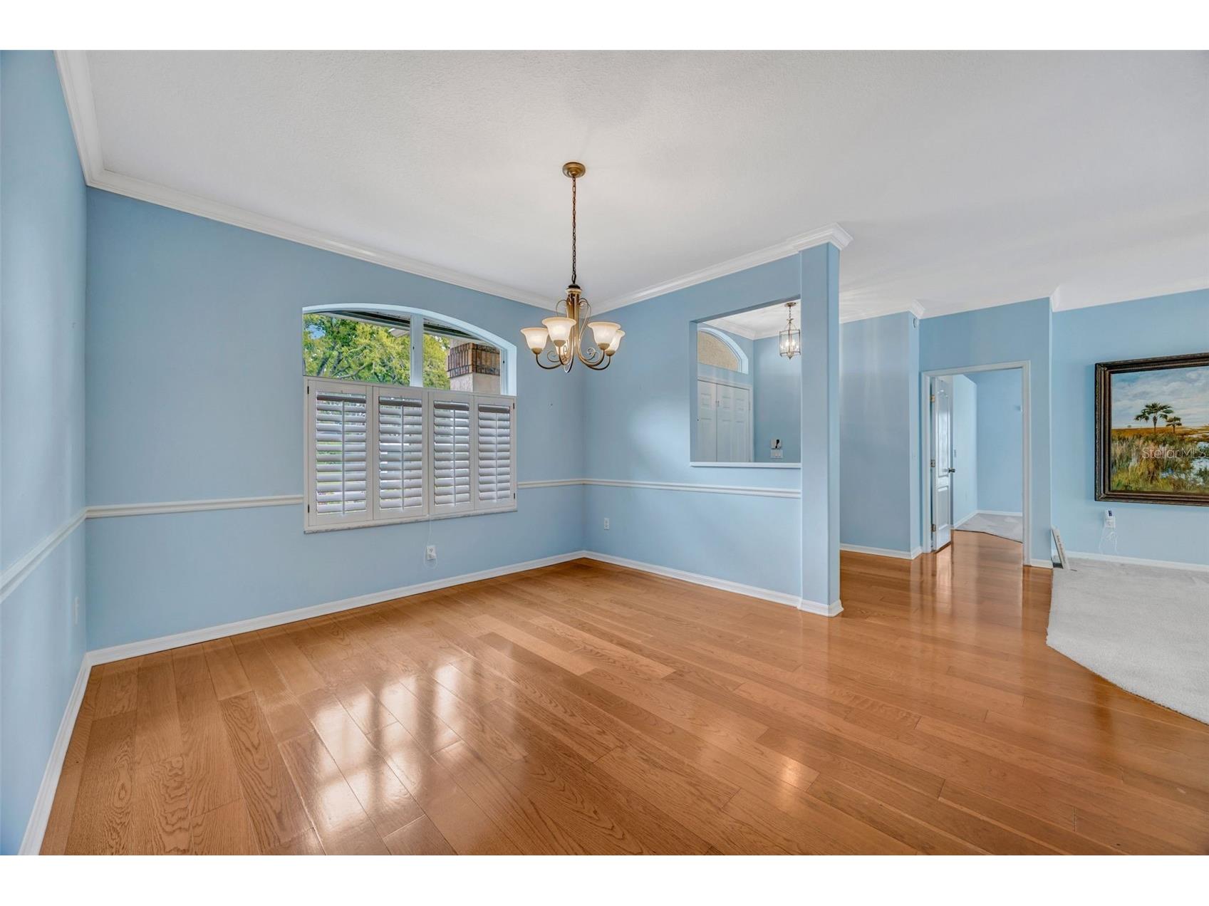 507 Surrey Lane Lutz FL 33549 TB8448027 image52
