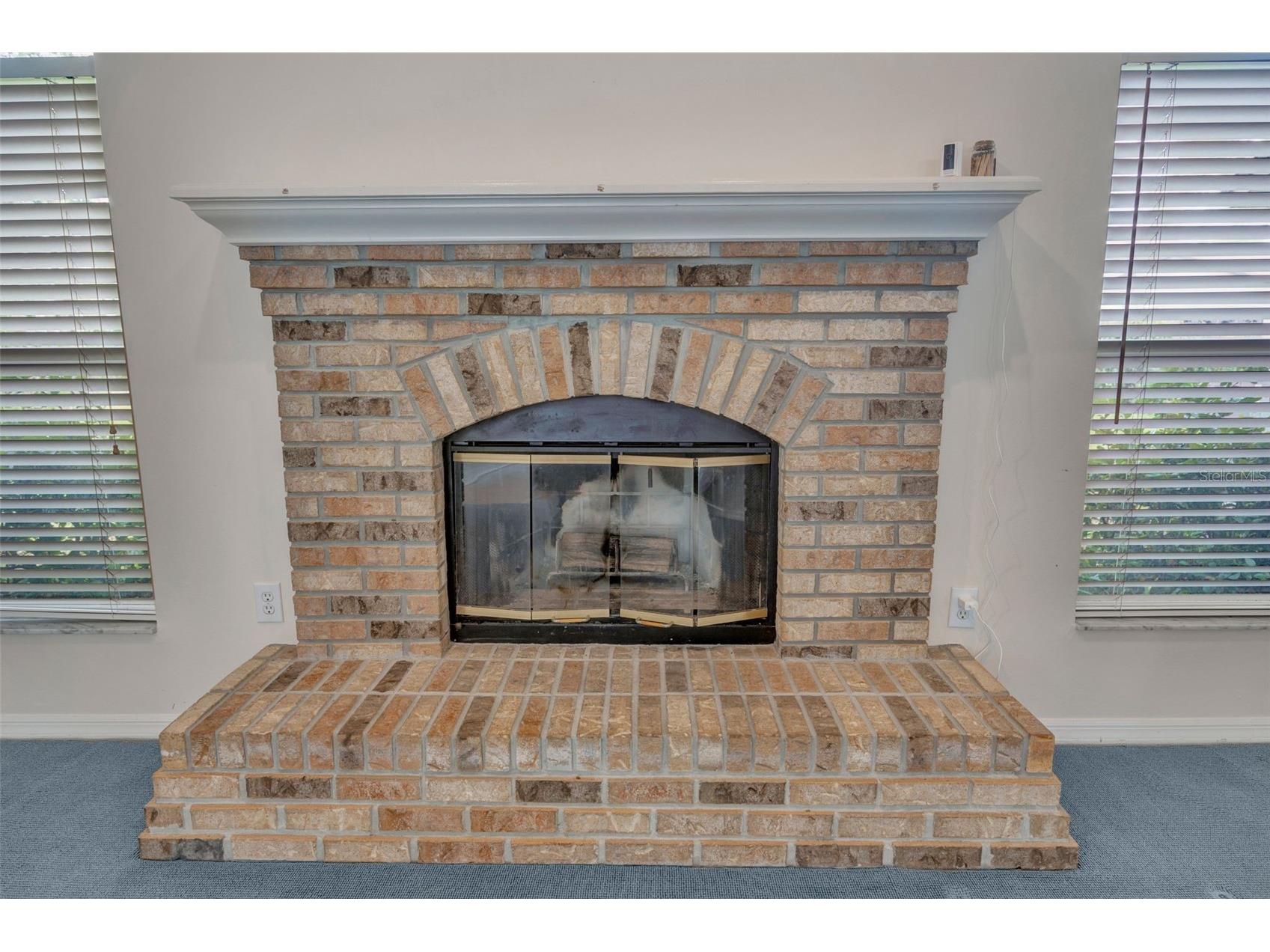 507 Surrey Lane Lutz FL 33549 TB8448027 image59