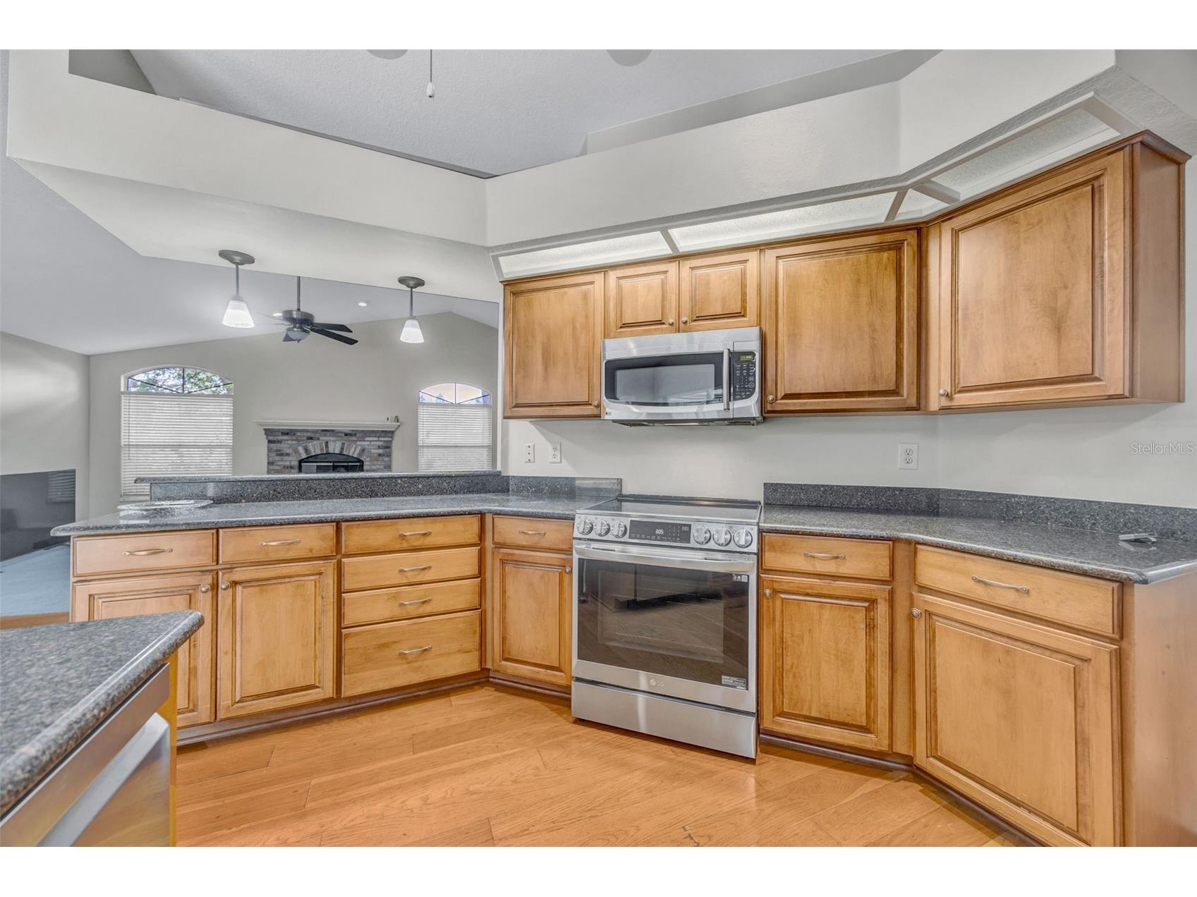 507 Surrey Lane Lutz FL 33549 TB8448027 image63