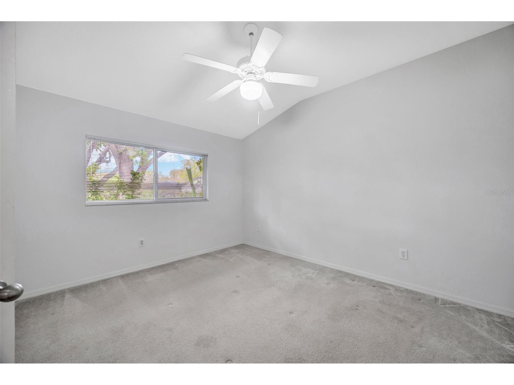 507 Surrey Lane Lutz FL 33549 TB8448027 image69