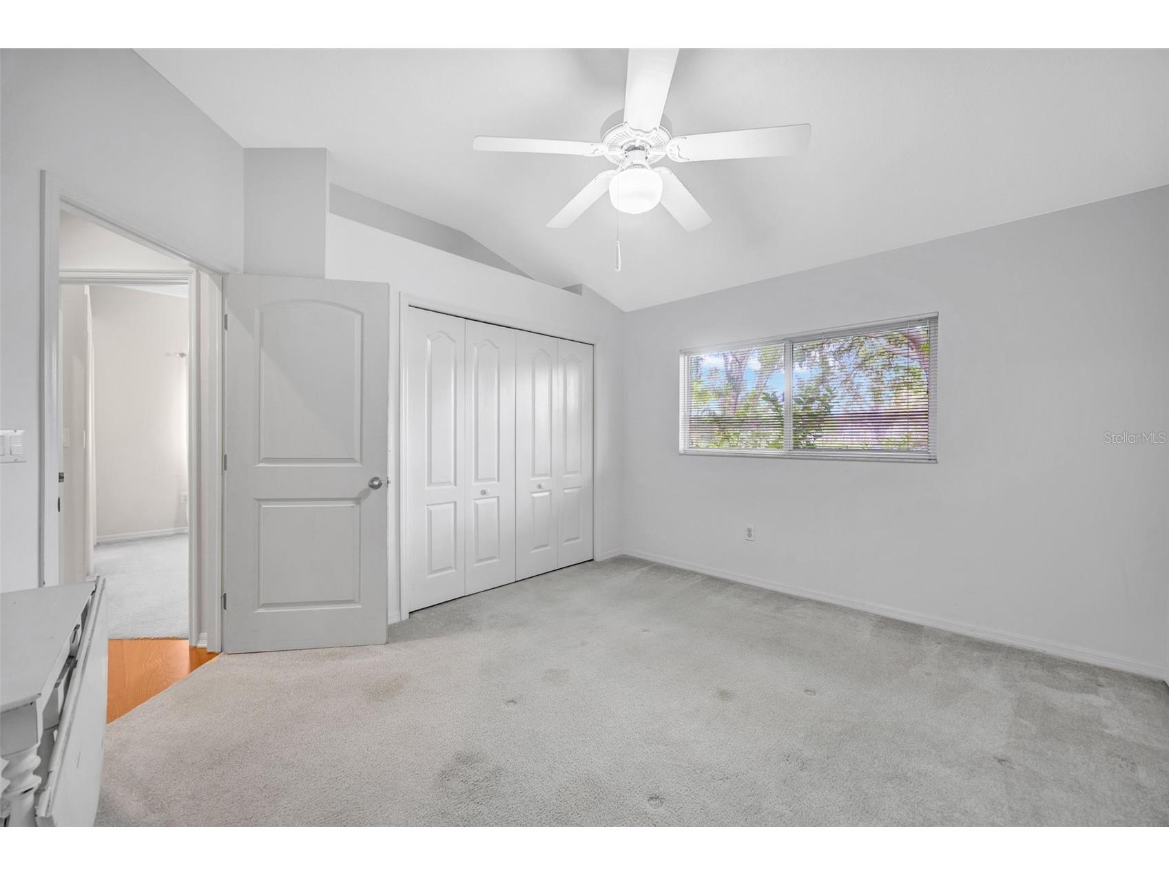 507 Surrey Lane Lutz FL 33549 TB8448027 image71