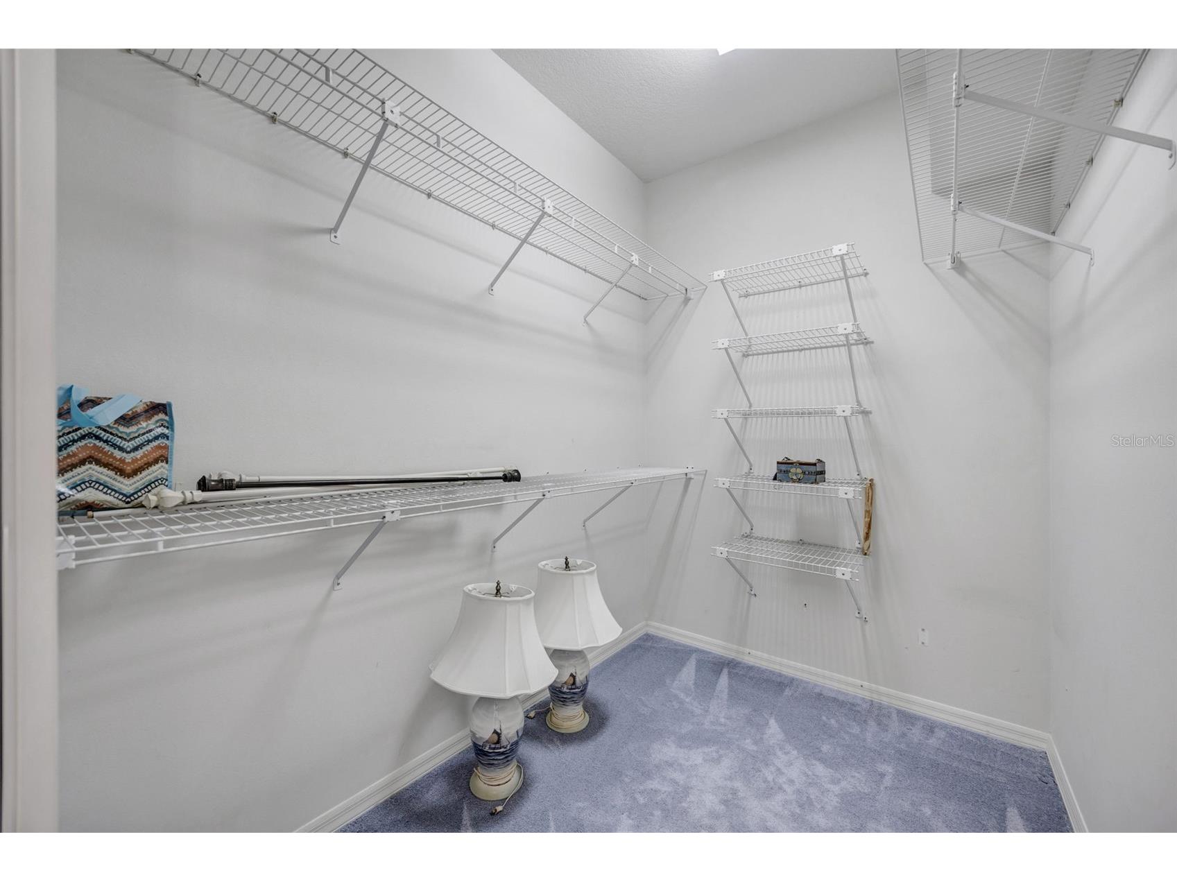 507 Surrey Lane Lutz FL 33549 TB8448027 image82