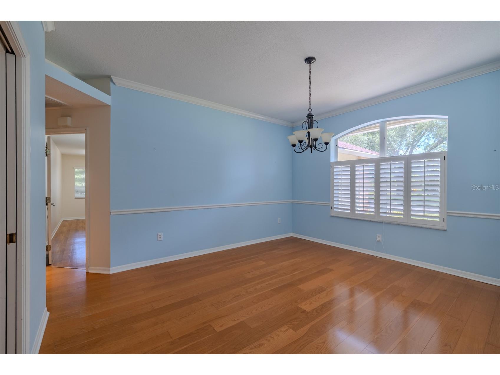 507 Surrey Lane Lutz FL 33549 TB8517387 image20