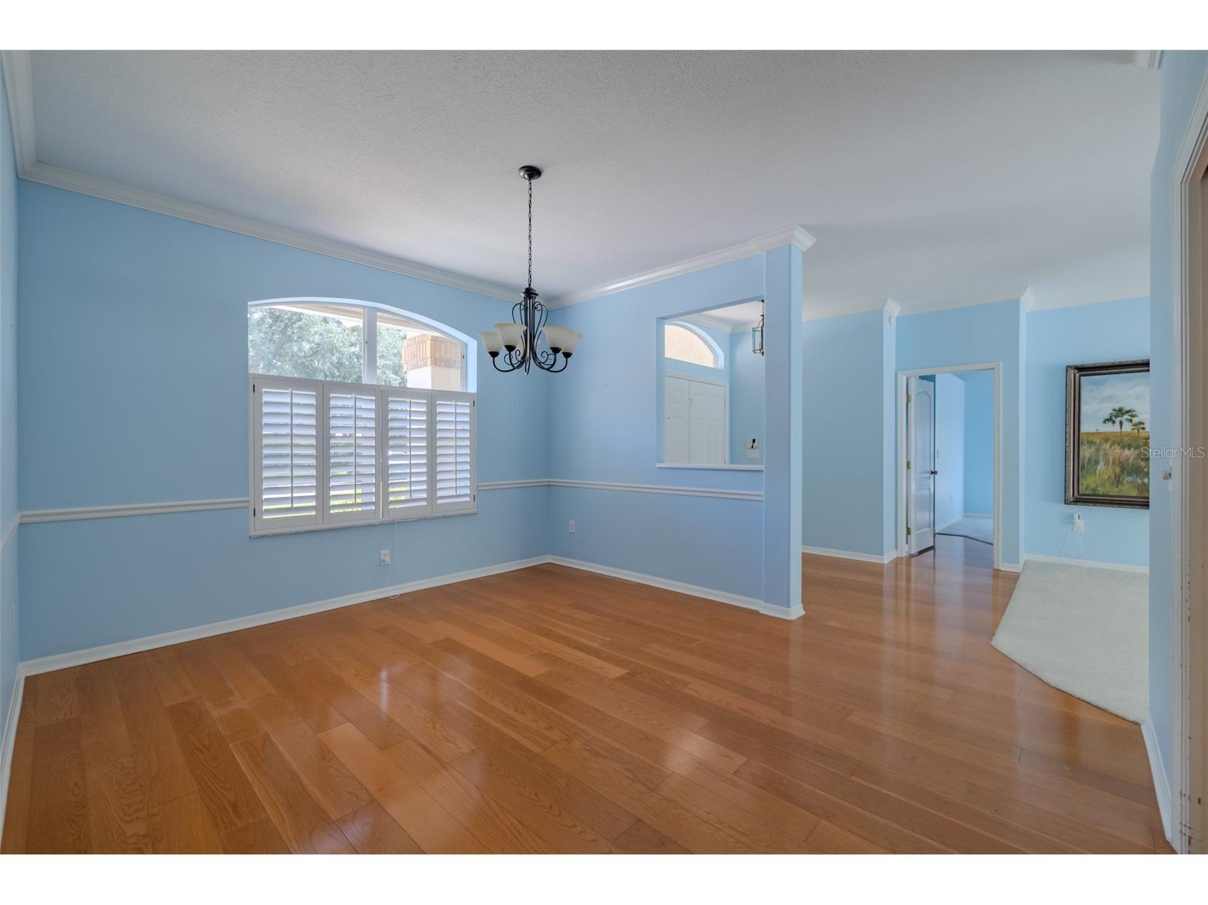 507 Surrey Lane Lutz FL 33549 TB8517387 image21
